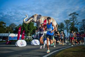 BIB: 
                            <button type="button" onclick="openModal(26541508)" class="btn btn-primary btn-sm float-right btn-popup" data-toggle="modal" data-target=".modal-high-quality">
                        <i class="fas fa-shopping-cart"></i> Add to Cart
                    </button>
                                            <button type="button" onclick="isThisMe(26541508, true)" class="btn btn-success btn-sm float-right btn-popup btn-isme hidden" data-toggle="tooltip" data-placement="bottom" title="นี่คือรูปของคุณใช่ไหม คลิกที่นี่เพื่อเอาเข้าอัลบั้ม">
                        <i class="fas fa-plus"></i> Add to album
                    </button>
                    <button type="button" onclick="isThisMe(26541508, false)" class="btn btn-warning btn-sm float-right btn-popup btn-isnotme hidden">
                        <i class="fas fa-ban"></i> Remove from album
                    </button>